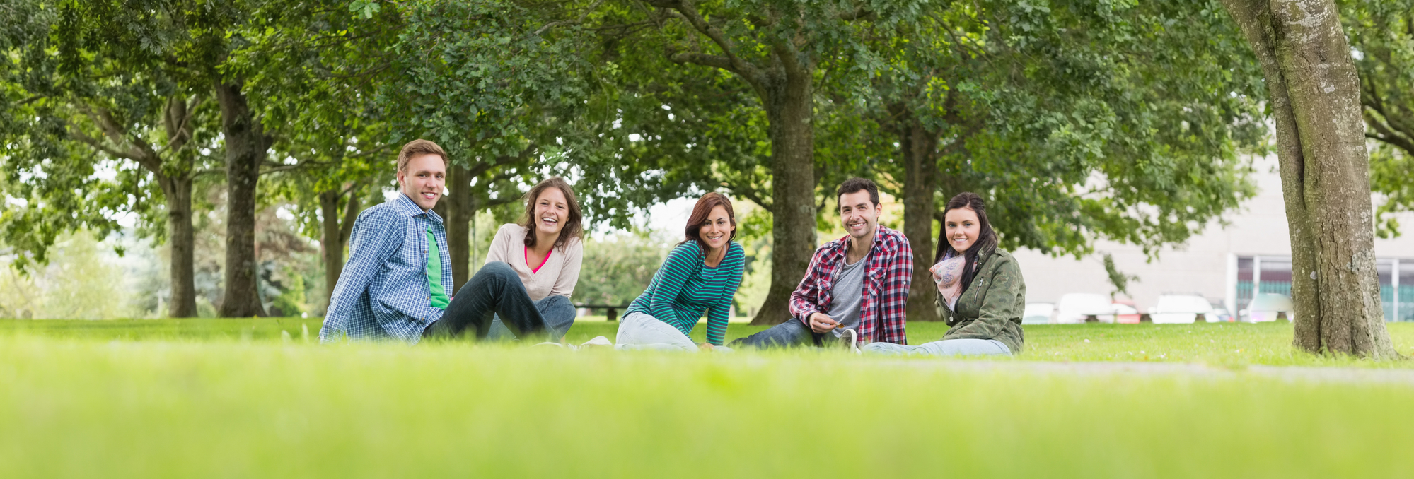 Group portrait of young college students sitting on grass in the park ...